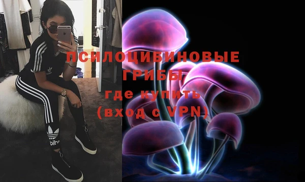 мдпв Пестово