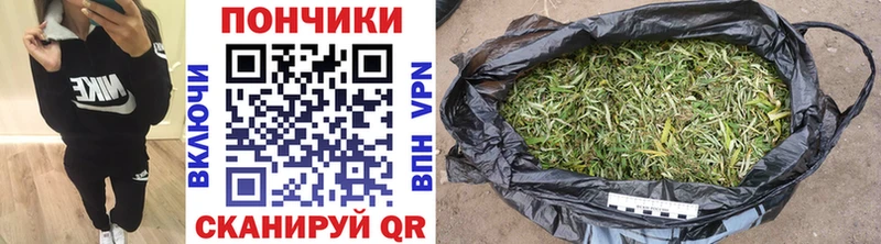 МАРИХУАНА ГИДРОПОН Кущёвская